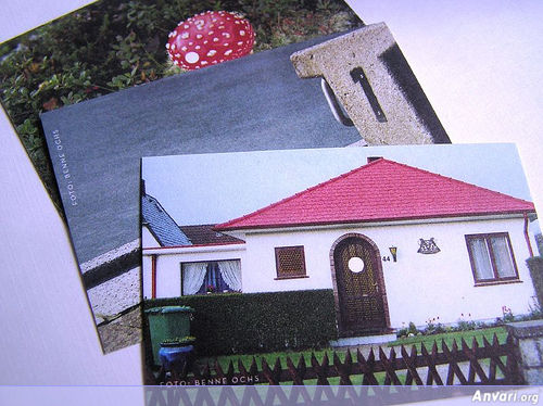 Business Card Design 242 - Business Cards 