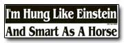 Bumper Sticker 001 - Funny Bumper Stickers 