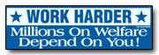 Bumper Sticker 024 - Funny Bumper Stickers 