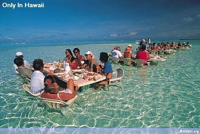 Hawaii - Only In 