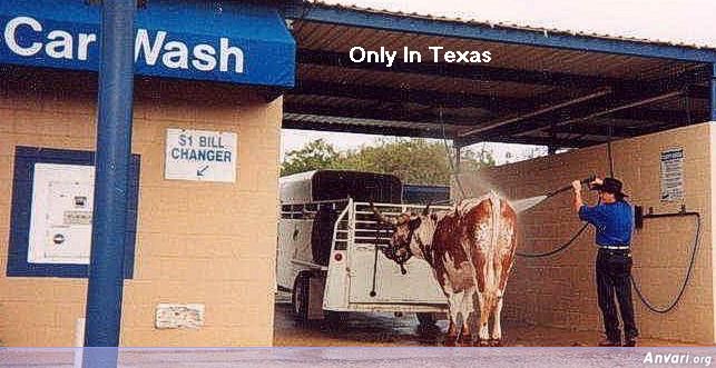 Texas - Only In 