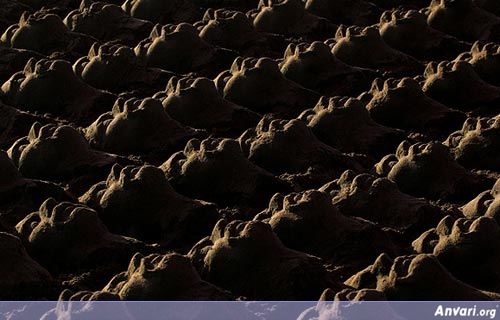 Sand Art 13 - Sand Art in Iran 