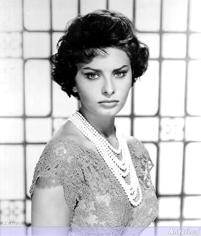 sophia3 - Sophia Loren 