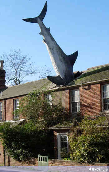 uk shark - Strange Statues around the World 