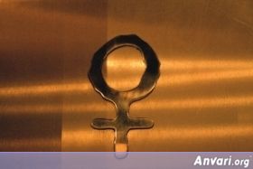 12 aparisfemalecg3 - Toilet Signs Around the World 