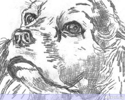 Detail From My Dog - Typewritter ASCII Art 