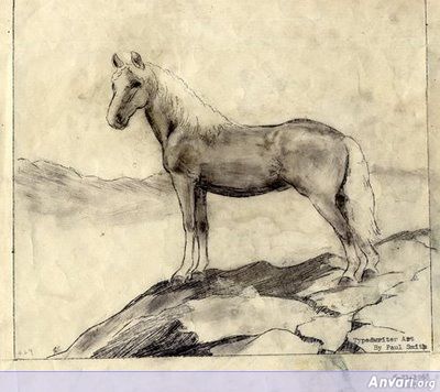 Horse Overlooking A Canyon - Typewritter ASCII Art 
