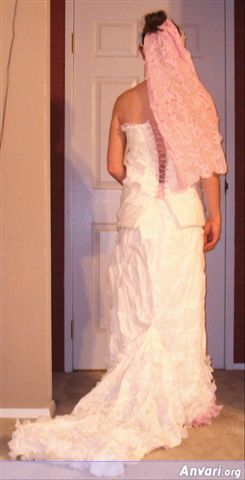 TaraQuigly1a - Wedding Dresses Made of Toilet Paper 
