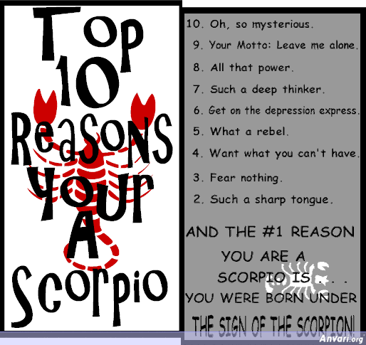 Scorpio - Zodiac 