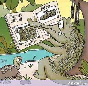 Aligator Family Album - Aligator Family Album 