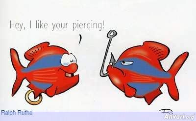 I Like Your Piercing - Animals 