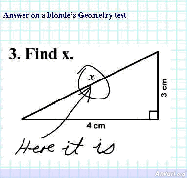 Blondes Answer to Geometry Test - Blondes 