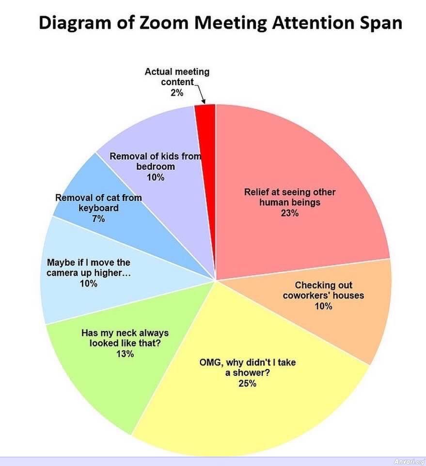 Diagram of a Zoom Meeting - Corona Virus 