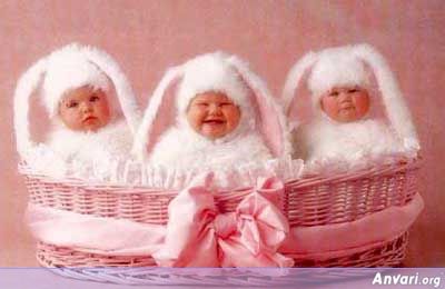 Easter Babies - Easter Babies 