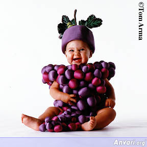 Grapes - Grapes 