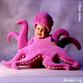 Octopus - Octopus 