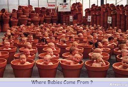 Where Babies Come From - Where Babies Come From 