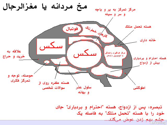 Brain Male - Brain Male 