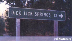 Place Dicklick - Funny Billboard Ads 
