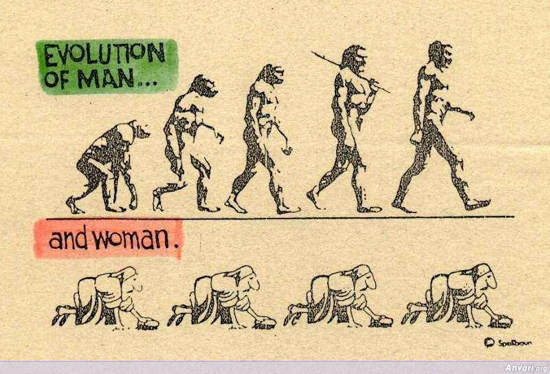 Evolution of Man and Woman - Evolution of Man and Woman 