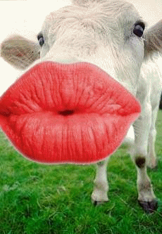 http://www.anvari.org/db/fun/Misc/Animated_Kiss.gif