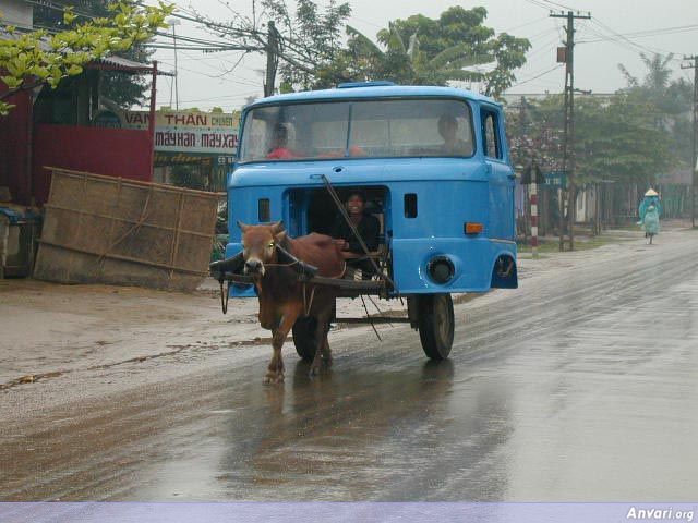 Truck Mad Cow Model - Truck Mad Cow Model 