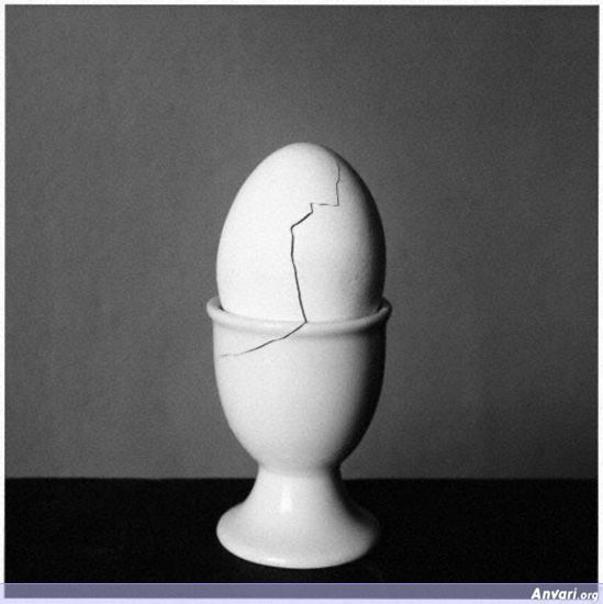 UN Egg - Photography 