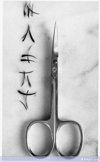 UN Scissors - UN Scissors 