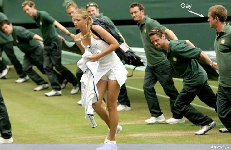 Anna Kournikova and the Gay Sweeper - Anna Kournikova and the Gay Sweeper 