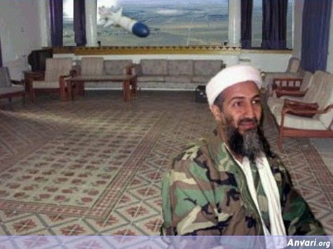 Bin Laden - Bin Laden 