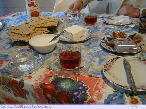 Iran Peyma