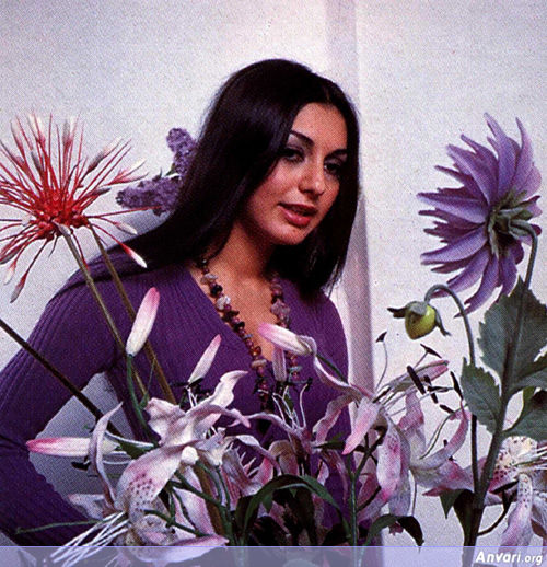 Googoosh 115 - Googoosh 115 