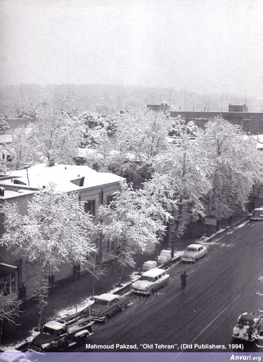 Nader Avenue 1951 - Nader Avenue 1951 