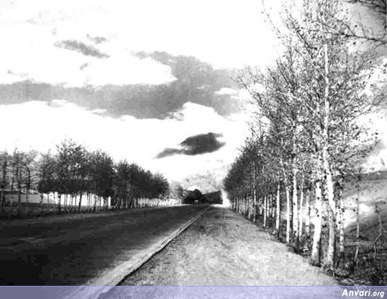 Pahlavi (Vali Asr) Avenue 1955 - Pahlavi (Vali Asr) Avenue 1955 