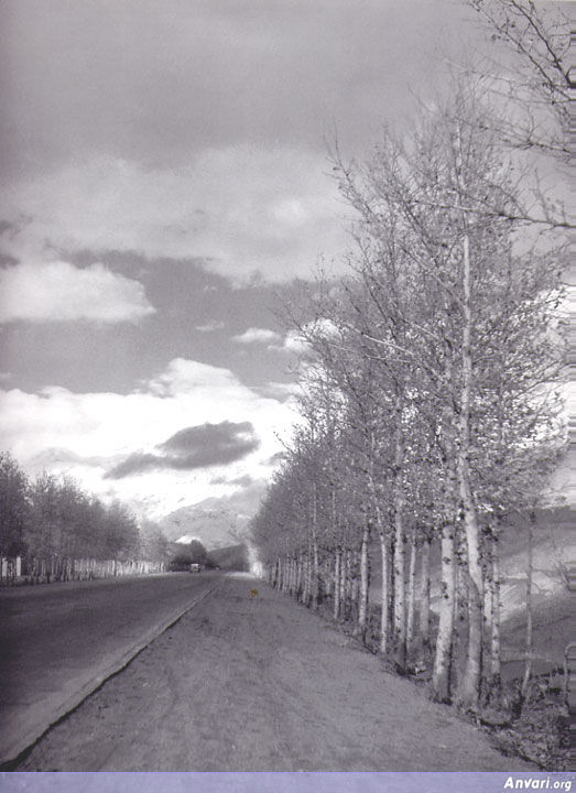 Pahlavi (Valiasr) Avenue 1955 - Pahlavi (Valiasr) Avenue 1955 