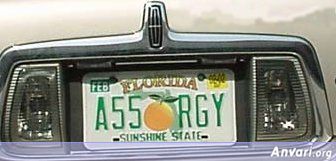 Weird License Plate