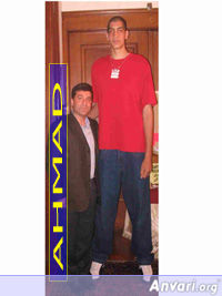 Jaber Rozbehani and NBA Draft 2004