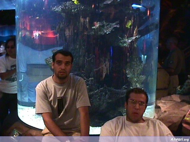 Amir and Ahm in Rainforest Cafe - Amir and Ahm in Rainforest Cafe 