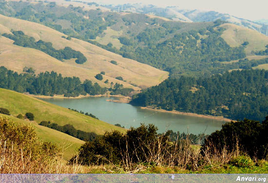 Lakeview Tilden Berkeley - Lakeview Tilden Berkeley 