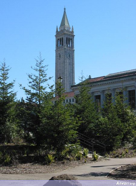 UCBerkeley Tower - UCBerkeley Tower 