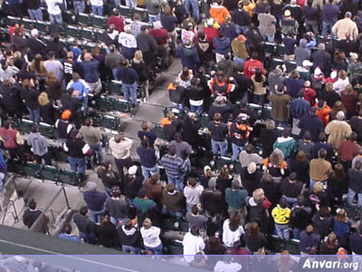 Crowd from the View Level - Crowd from the View Level 