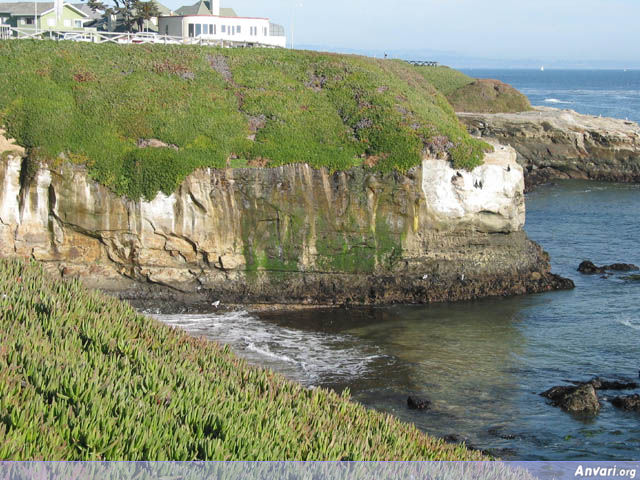 Ocean Cliff - Ocean Cliff 