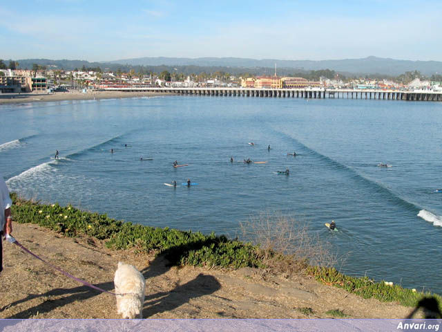 Surfers and City View - Surfers and City View 