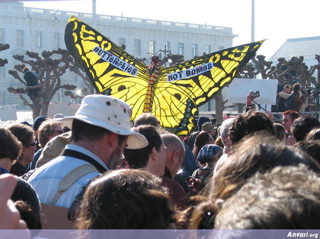 Butterflies Not Bombs - Butterflies Not Bombs 