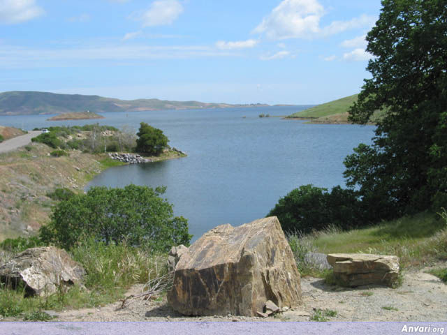 View of the Lake - View of the Lake 