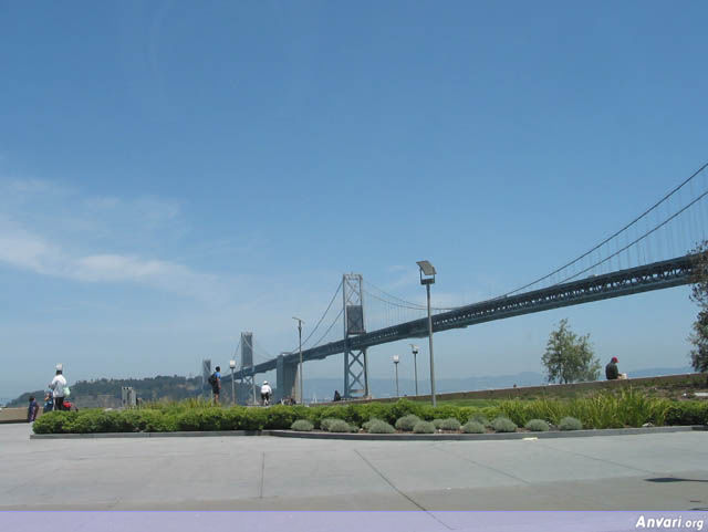 The Bay Bridge - The Bay Bridge 