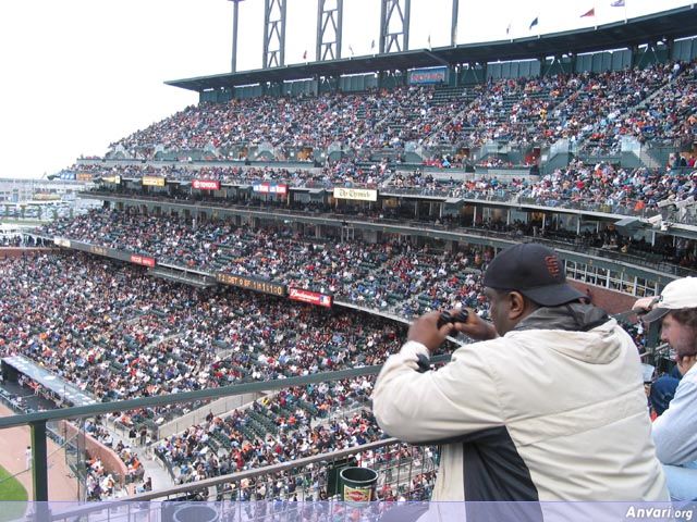 Baseball Fans - Baseball Fans 