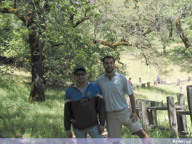 Professional Hikers - Professional Hikers 