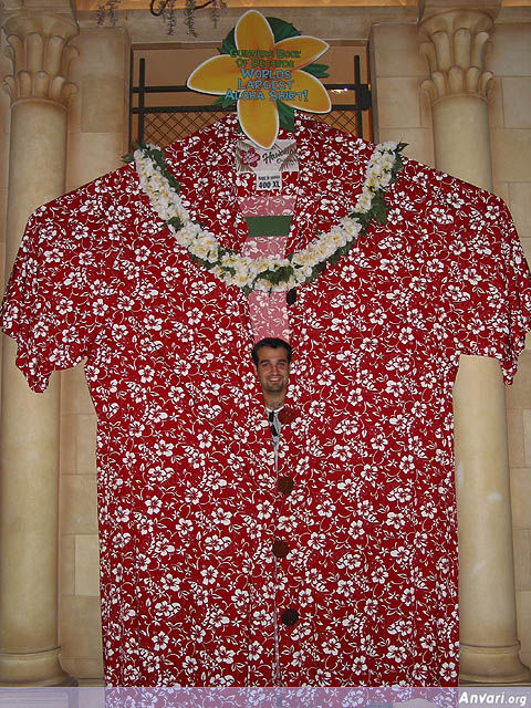Wearing the Biggest Hawaiian Shirt in the World - Wearing the Biggest Hawaiian Shirt in the World 
