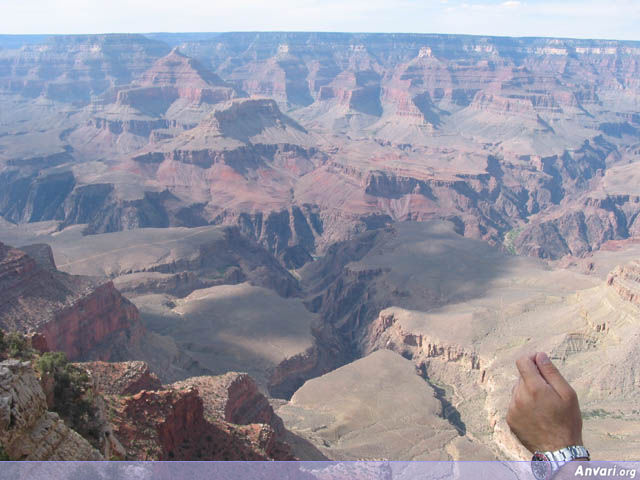 Down the Canyon - Down the Canyon 